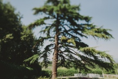 Wedding-Photographer-in-Como-Lake_0013